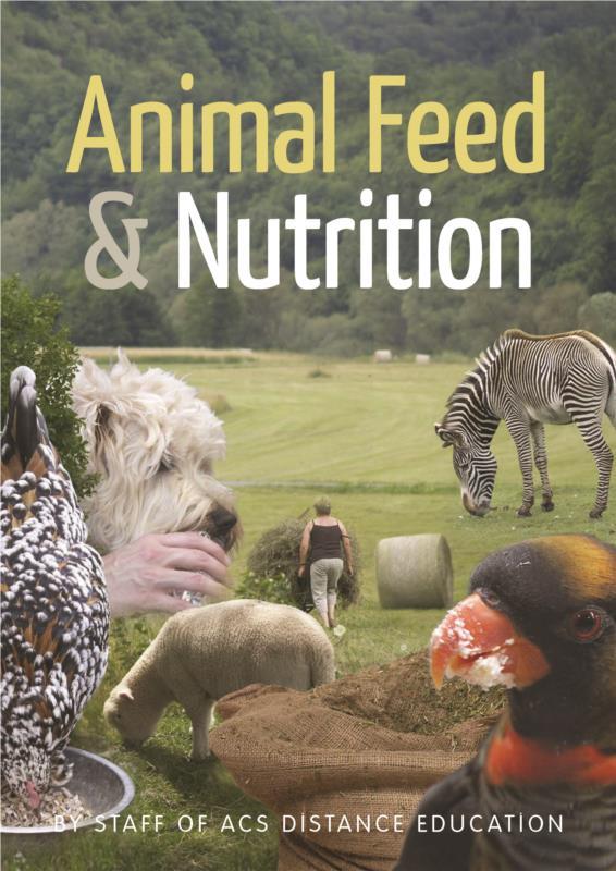 Animal Feed and Nutrition