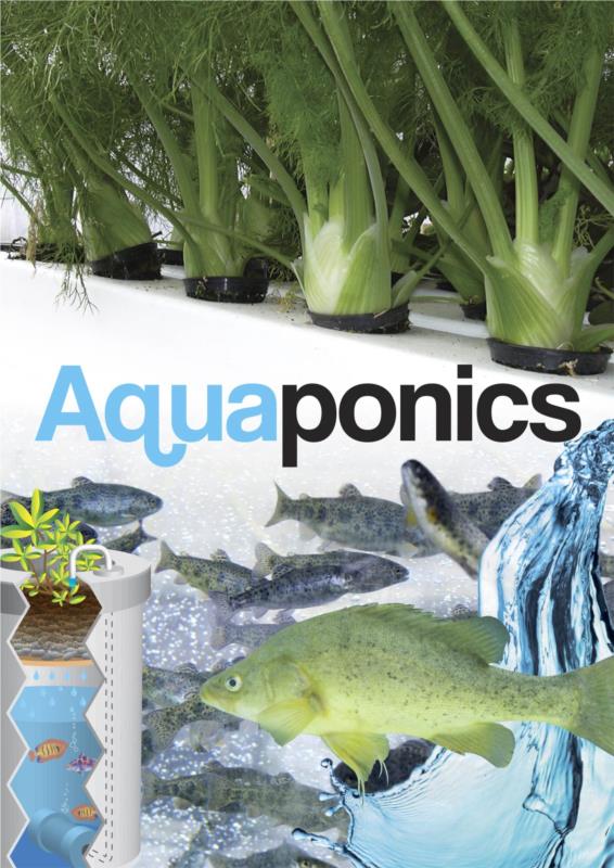 Aquaponics- PDF eBook