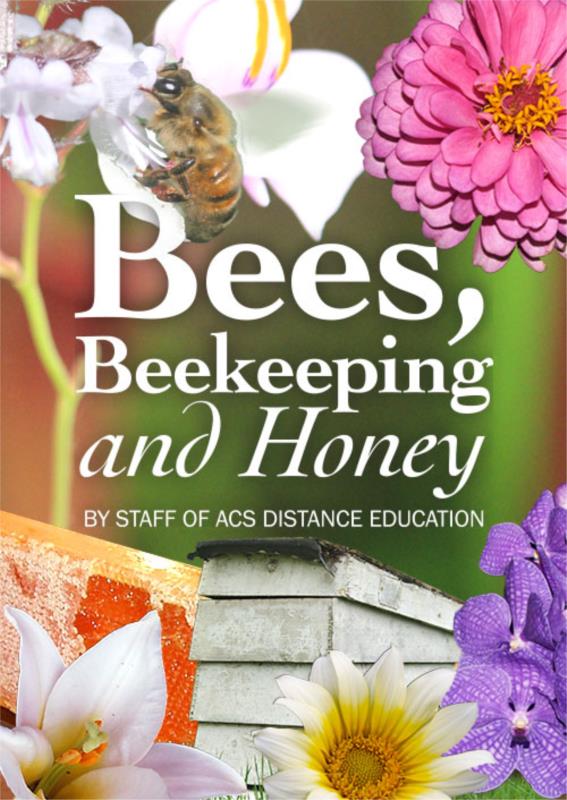 Bees, Beekeeping and Honey - PDF ebook