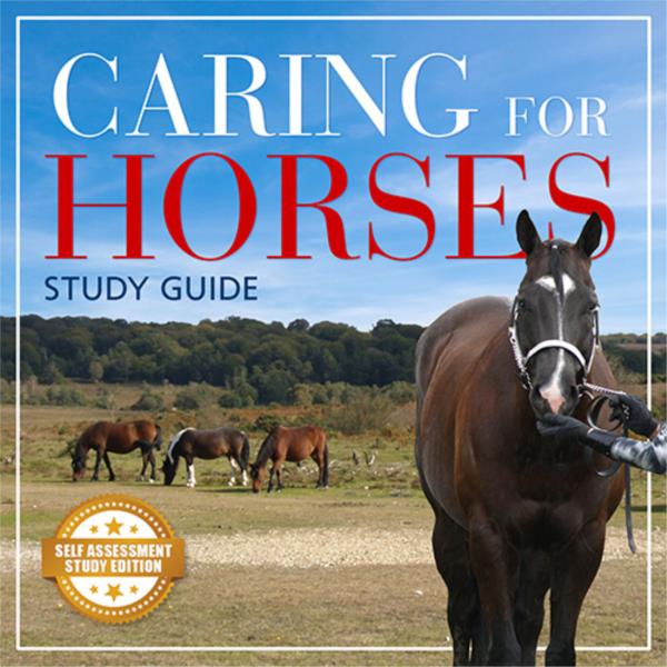 Caring for Horses Short Course